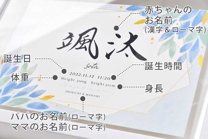 ベビーポスター名入れについて