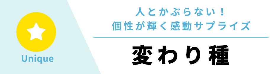 変わり種の両親プレゼント
