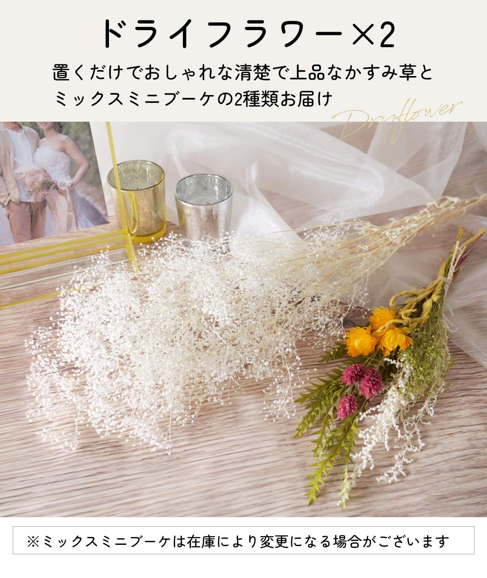 置くだけでおしゃれな清楚で上品なかすみ草＆ミックスミニブーケのドライフラワー2種類