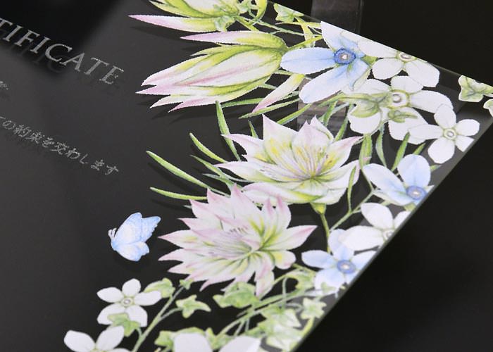 ガラスの結婚証明書　ブルースター幸せな意味をもつ可憐なお花を咲かせて
