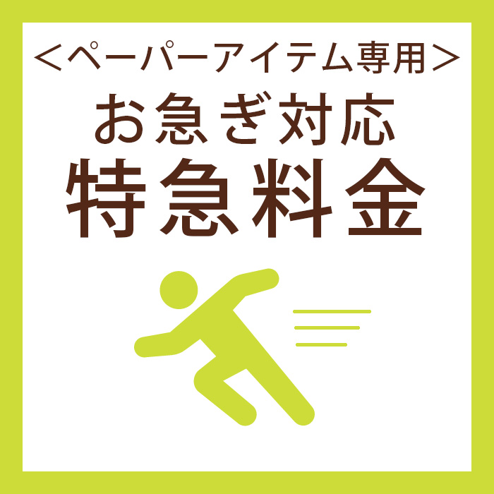 特急オプション