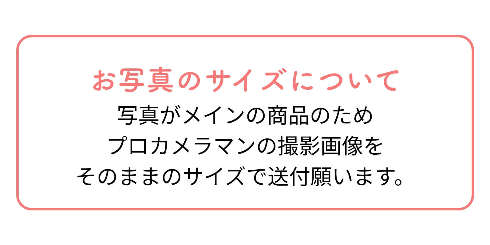 お写真のサイズについて