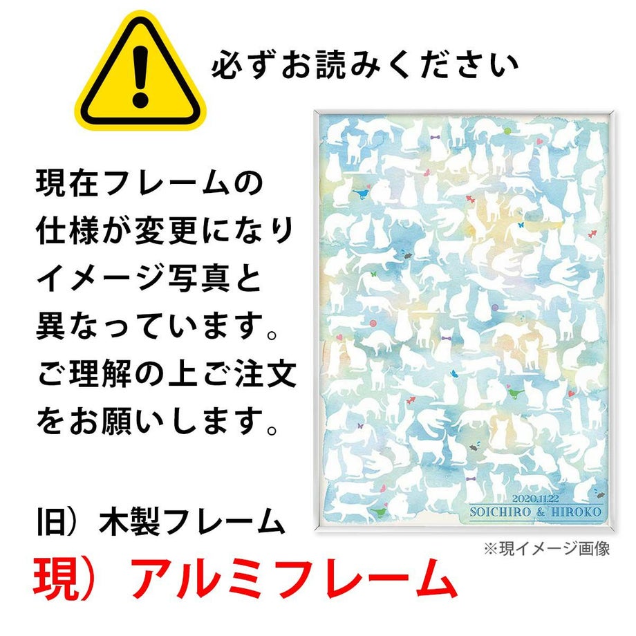 ご注意ください！フレームの仕様変更
