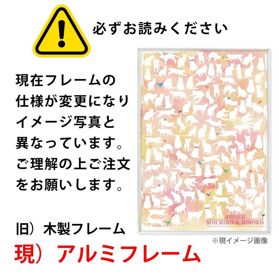 ご注意ください！フレームの仕様変更