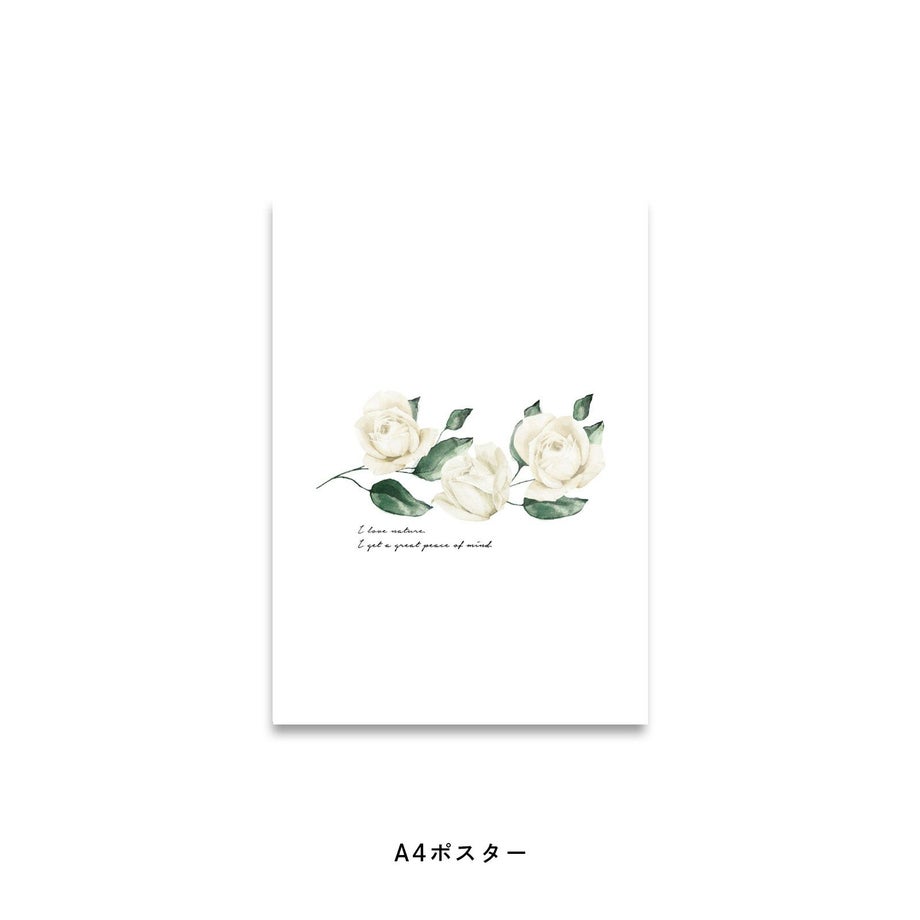 アンティーク調の白いバラが3つ並んだポスター