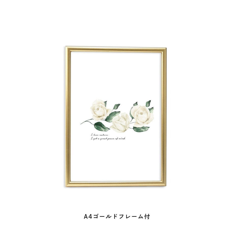 アンティーク調の白いバラが3つ並んだフレーム付ポスター