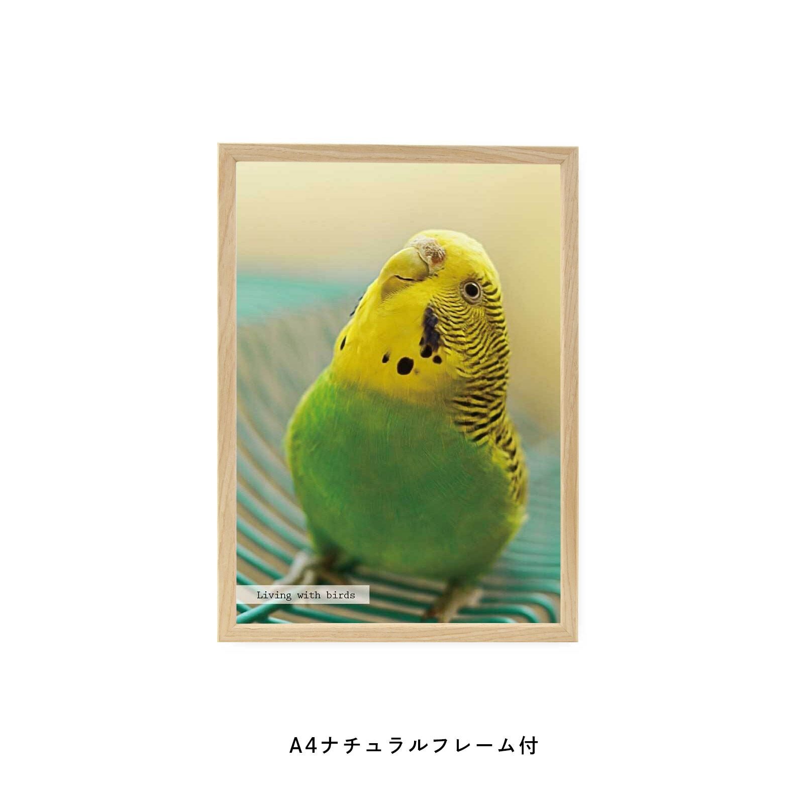 大好きなペット・鳥の写真でつくるフレーム付フォトポスター