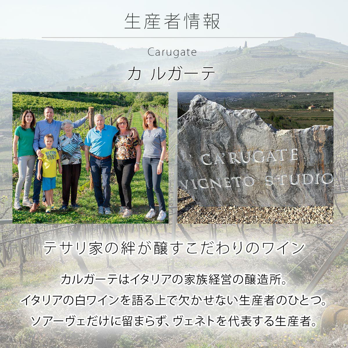 ワインの生産者情報カ　ルガーテ