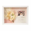 4色展開マカロンピンク