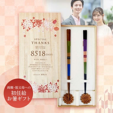 校正オプション