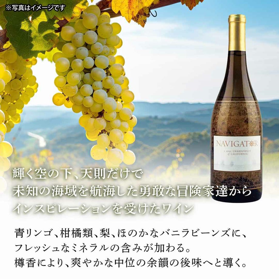 青リンゴ、柑橘類、梨、ほのかなバニラビーンズにフレッシュなミネラルの含みが加わった爽やかなワイン