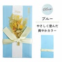 ブルーはやさしく澄んだ爽やかカラー