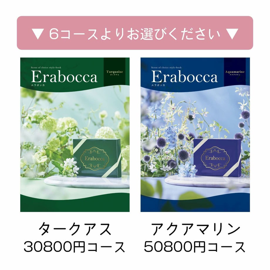 6コースよりお選びください／タークアス30800円コース、アクアマリン50800円コース