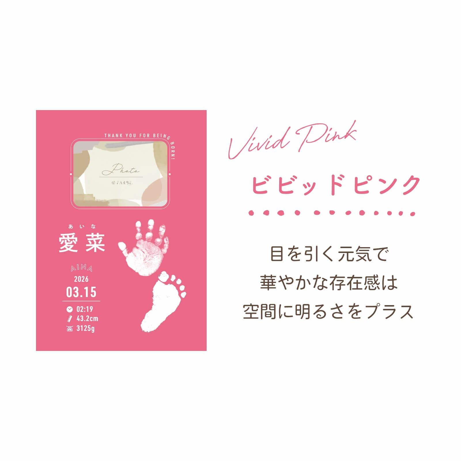 命名書二層板カラービビッドピンク