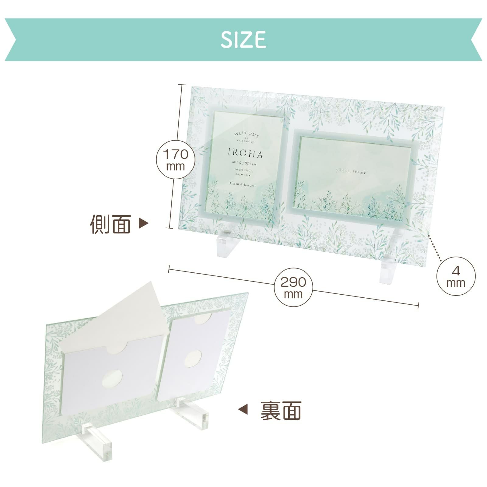 かすみ草命名書の展開図