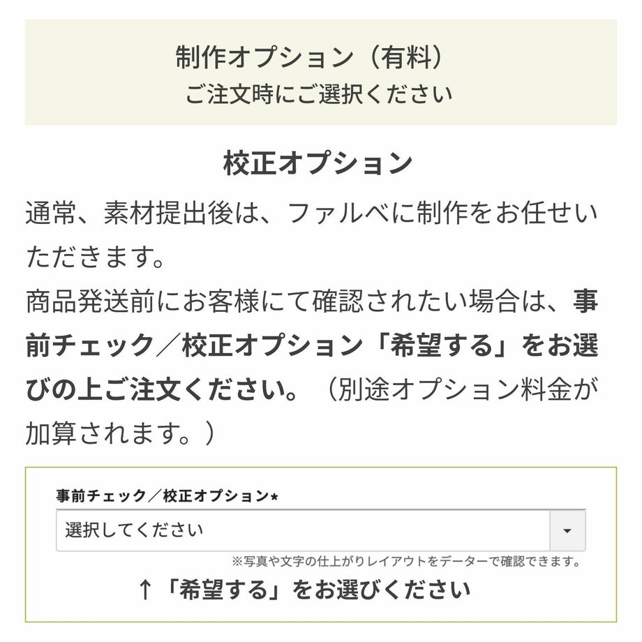 制作オプション（有料）