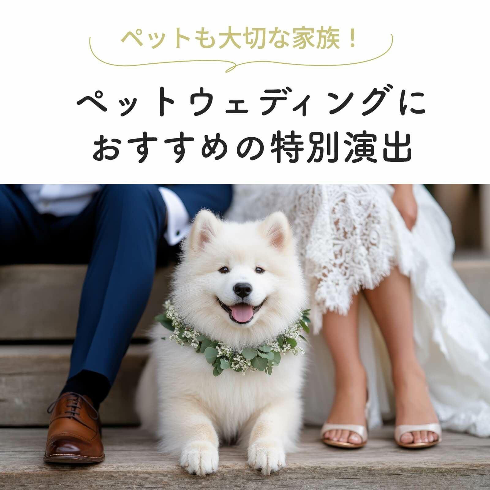 ペットも大切な家族！ペットウェディングにおすすめの特別演出