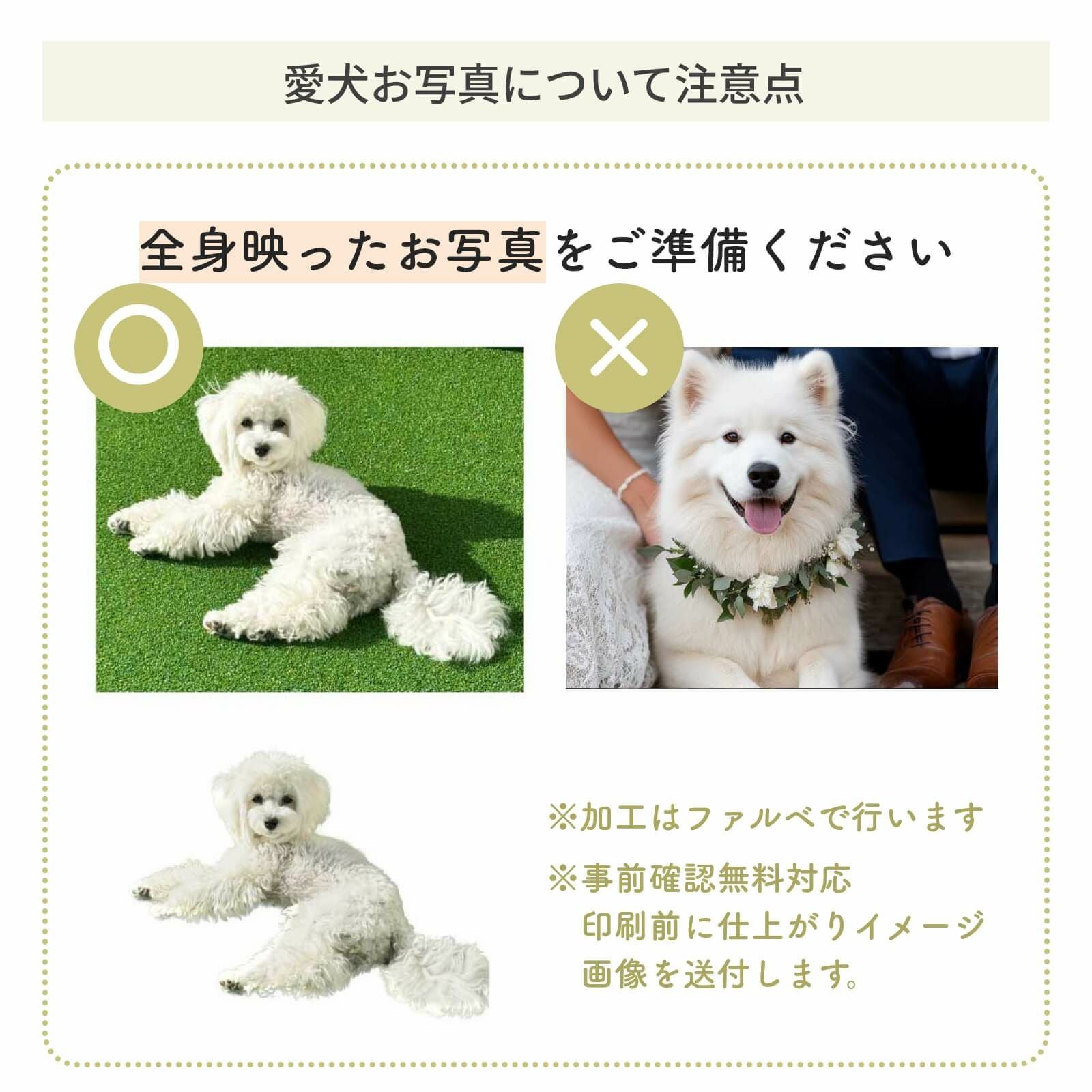 愛犬お写真について注意点