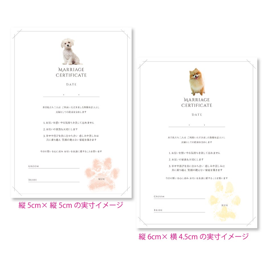 肉球スタンプ実寸サイズ