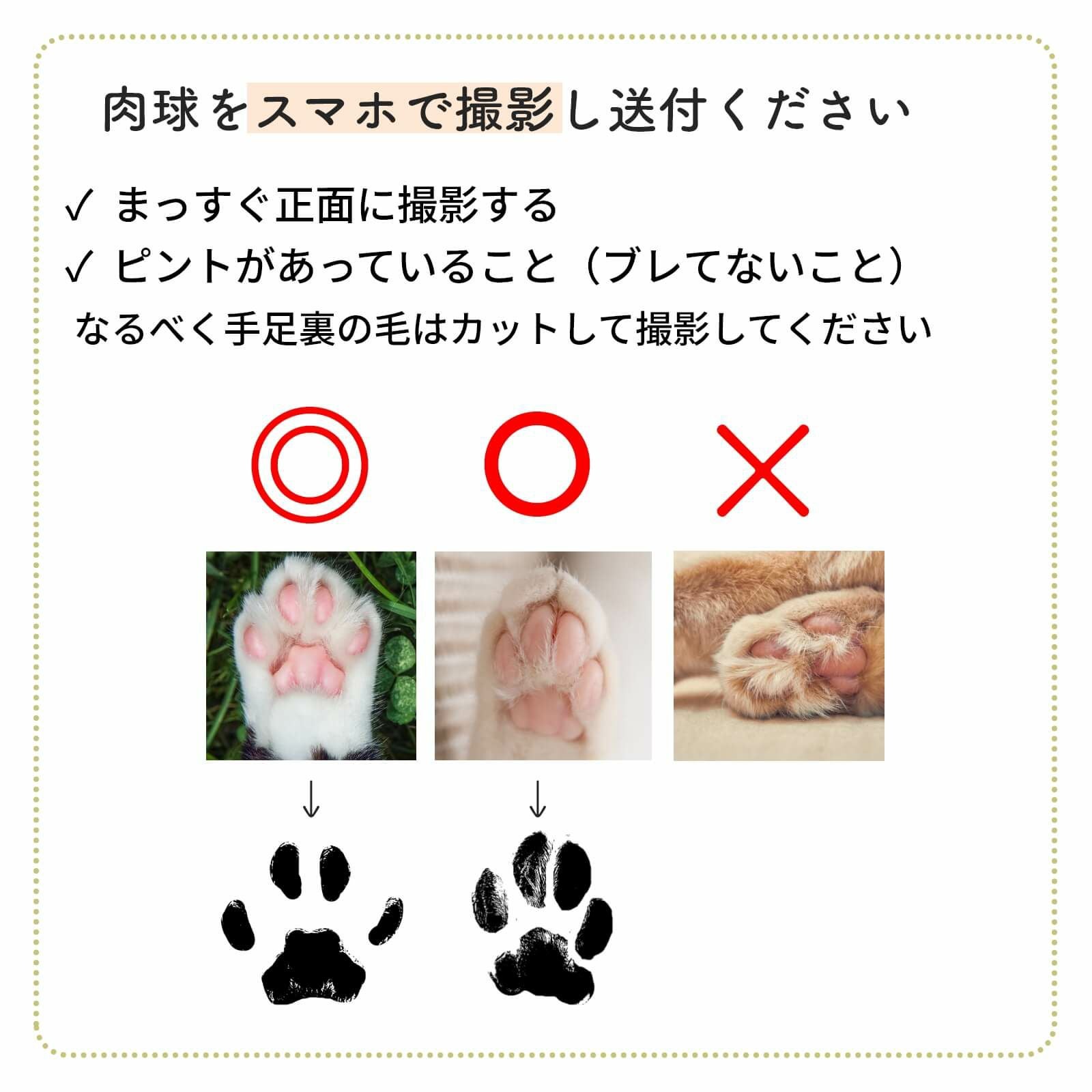 肉球をスマホで撮影し送付