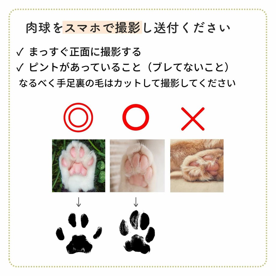 肉球をスマホで撮影し送付