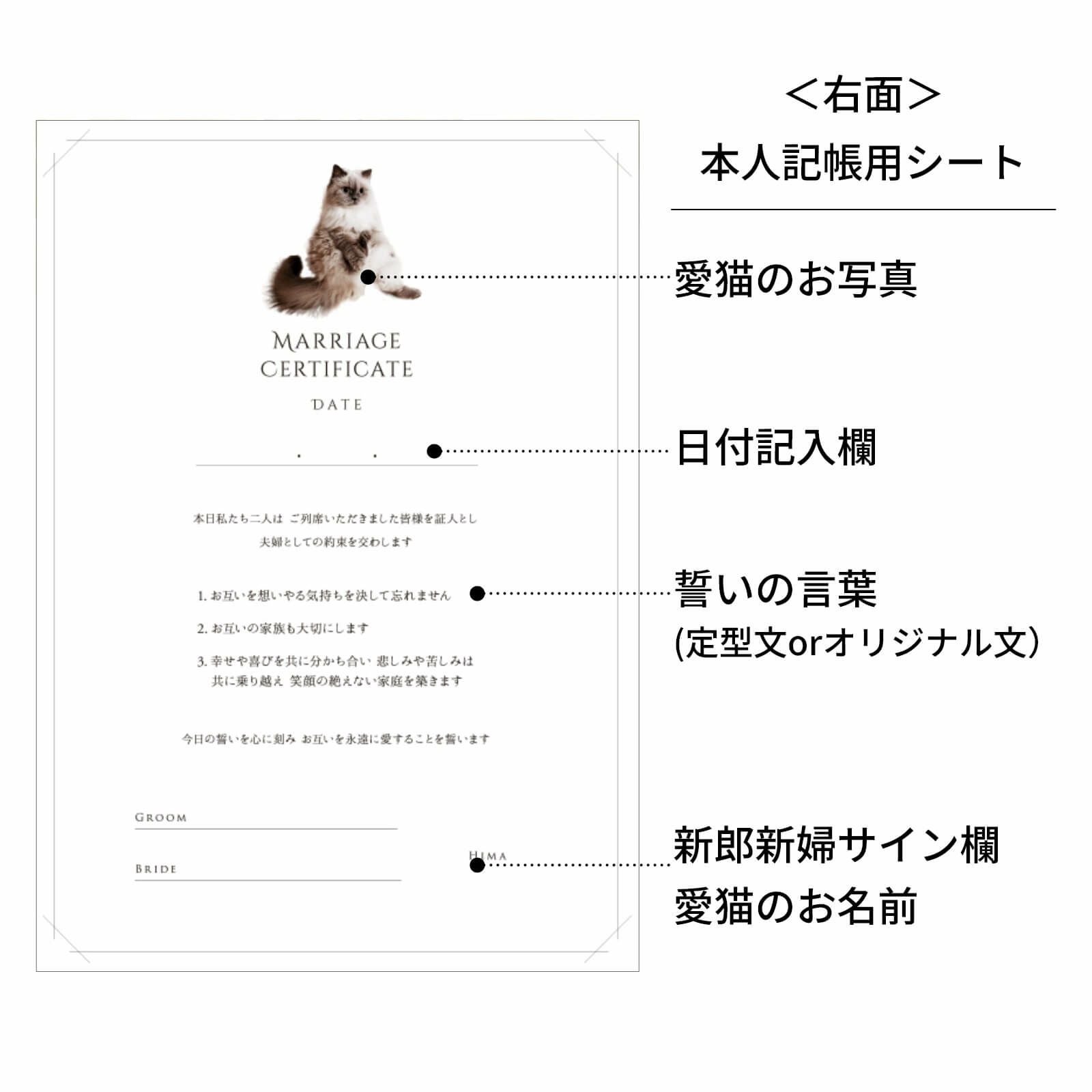 ＜右面＞本人記帳用シートについて