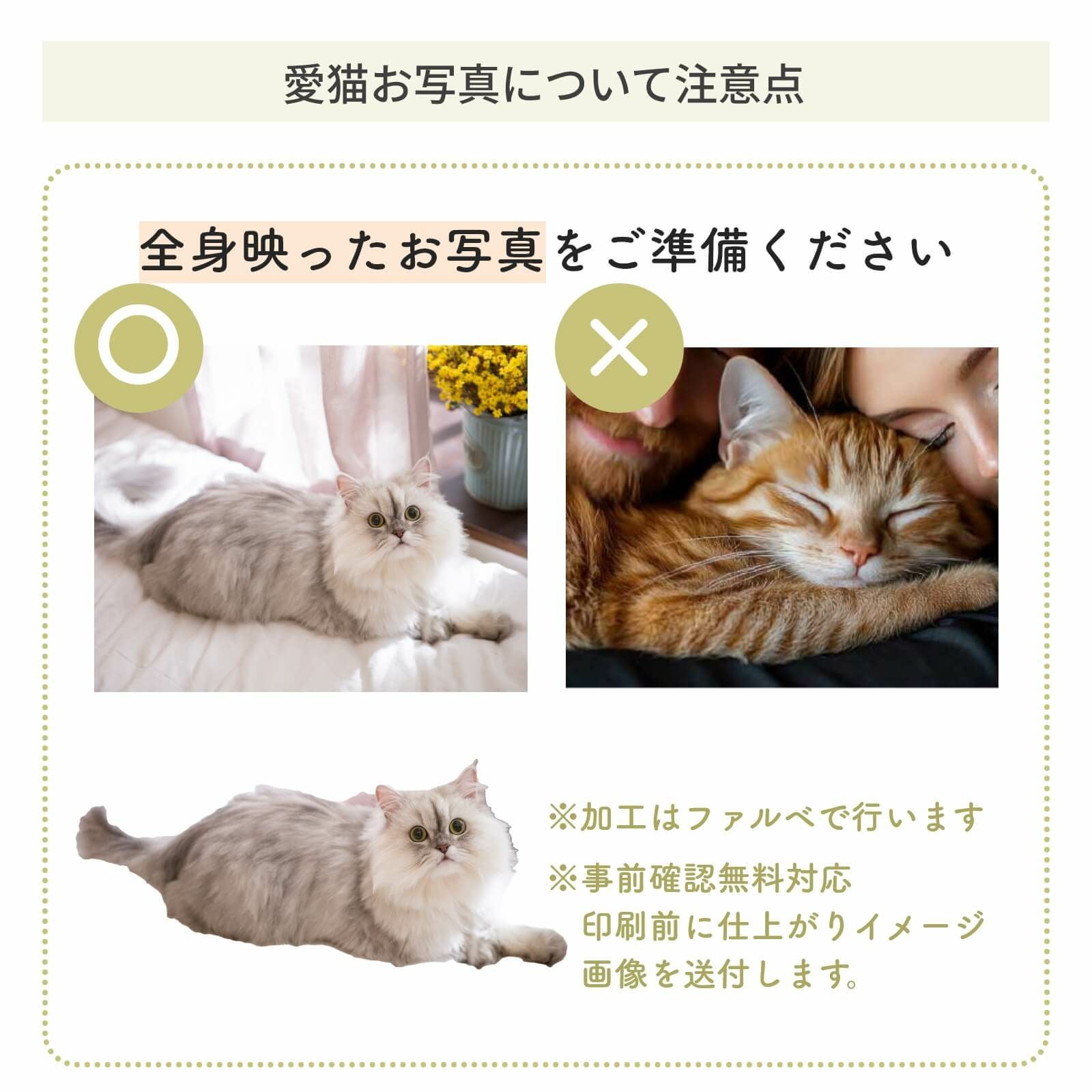 愛猫お写真について注意点