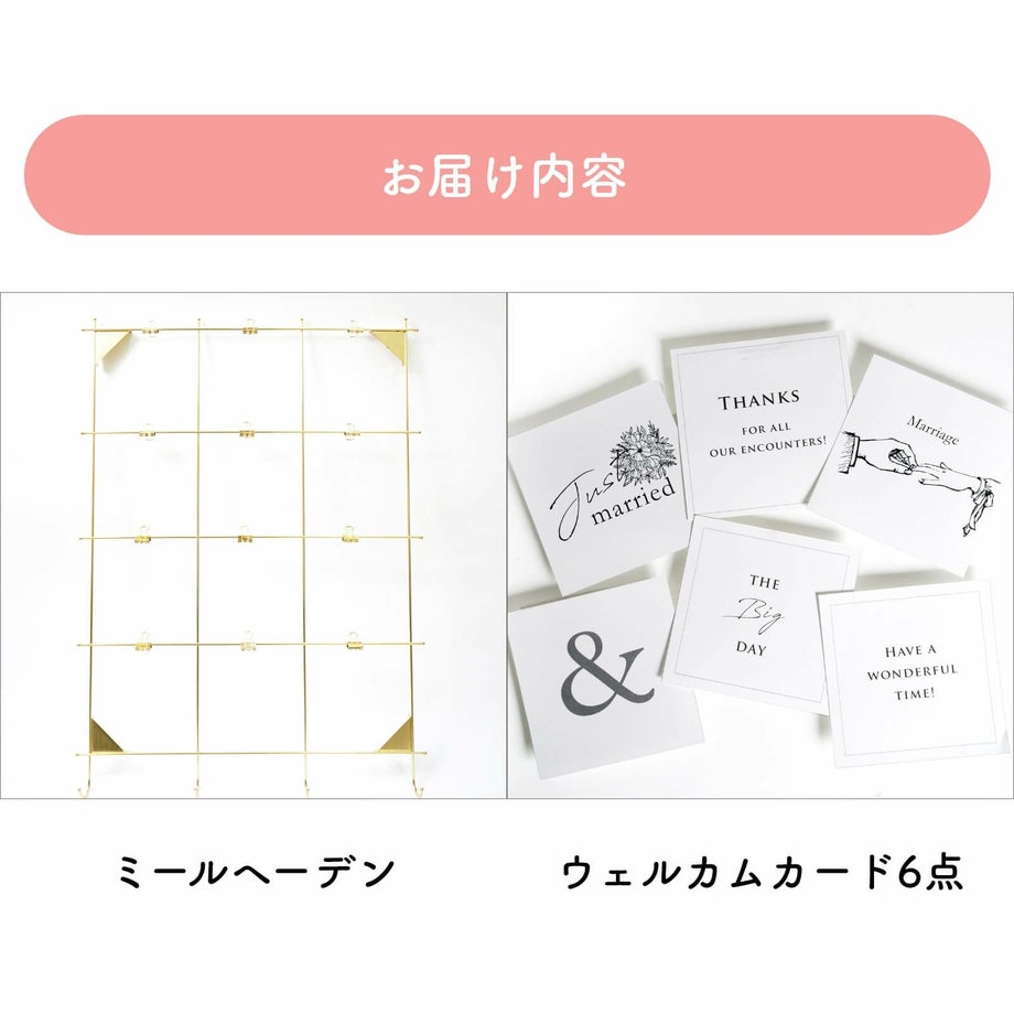 追加オプションお届け内容
