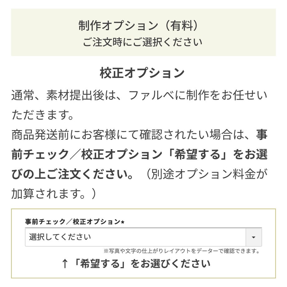 制作オプション（有料）