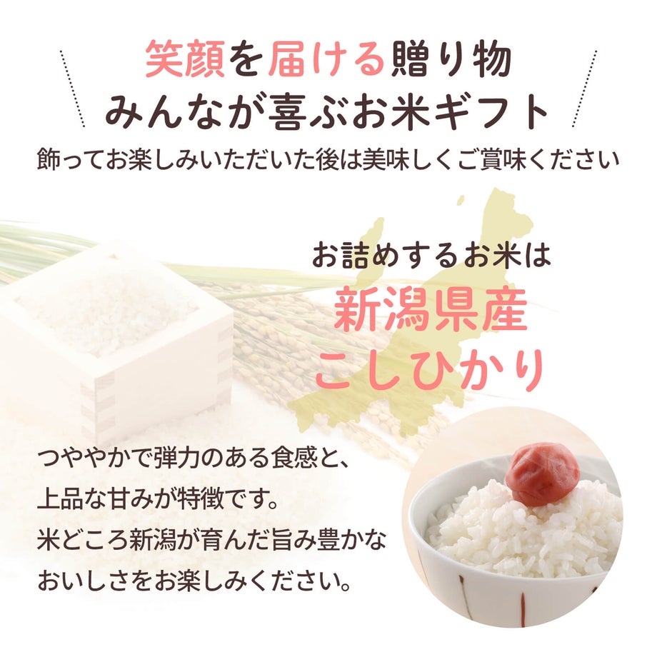 笑顔を届ける贈り物みんなが喜ぶお米ギフトお詰めするお米新潟県産 こしひかり