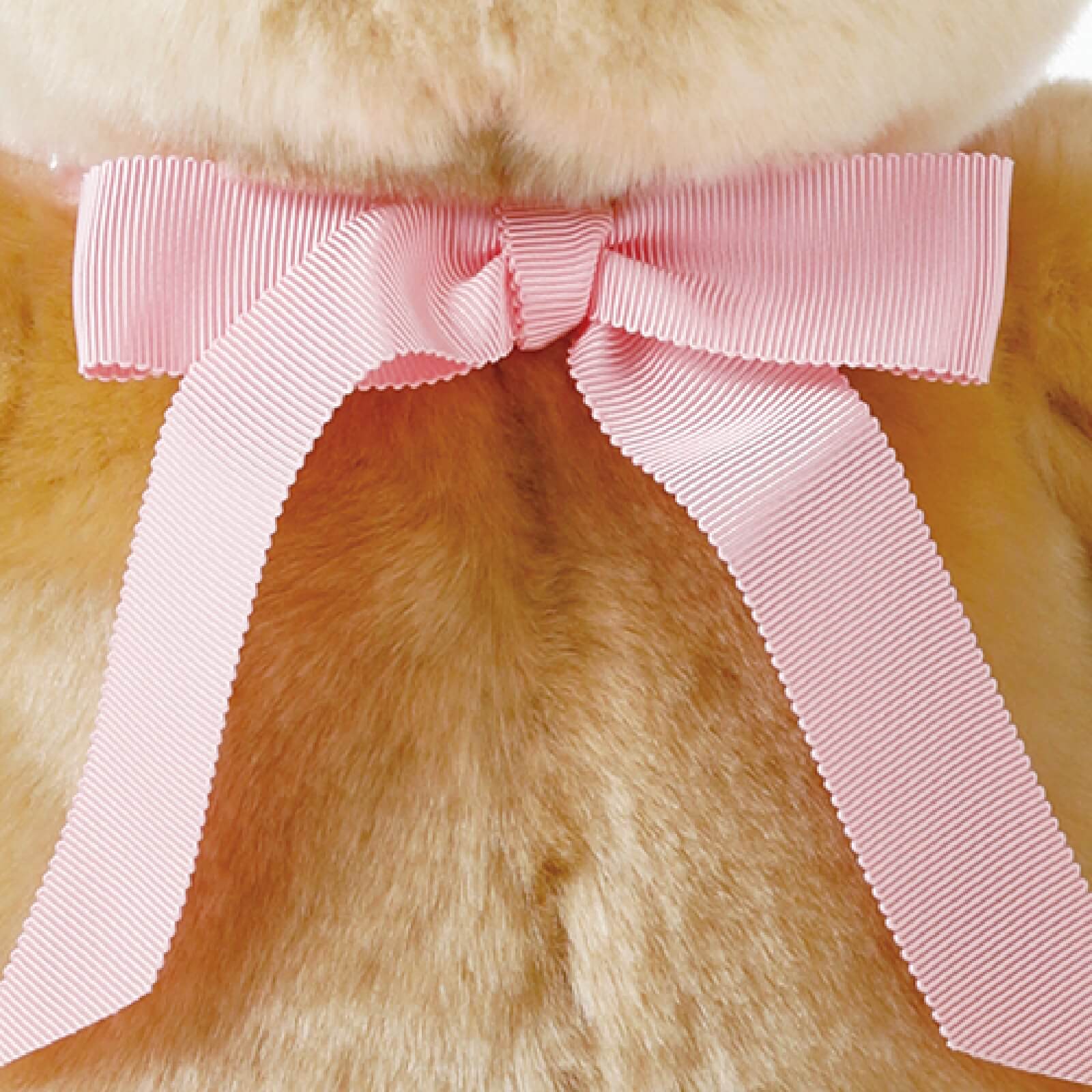 リボンは4種類から選べます／ピンク